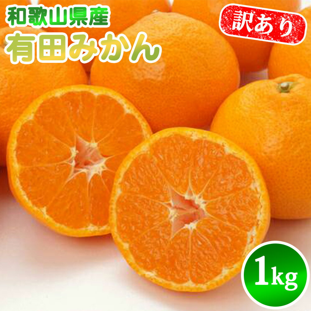 【ふるさと納税】【先行予約】有田みかん 1kg SS ～ 2