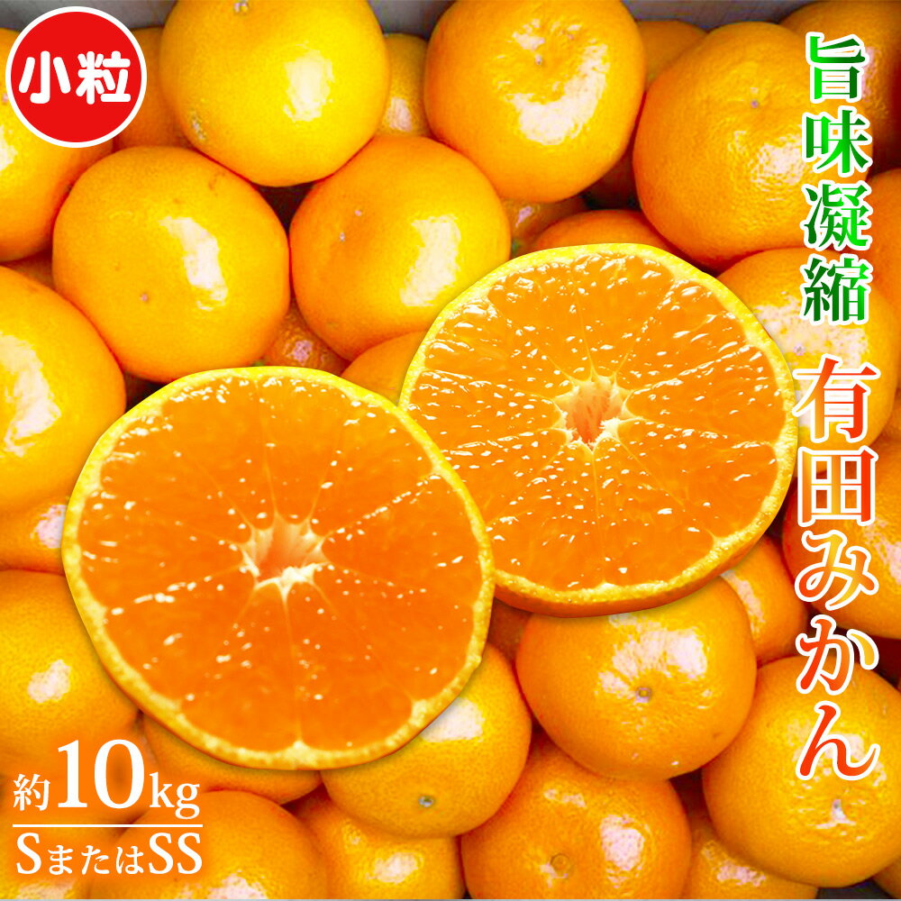 【ふるさと納税】【小粒サイズ】旨味凝縮 有田みかん 約 10kg ( Sサイズ または SSサイズ ) どちらかおまかせ ふるさと納税 みかんのサムネイル