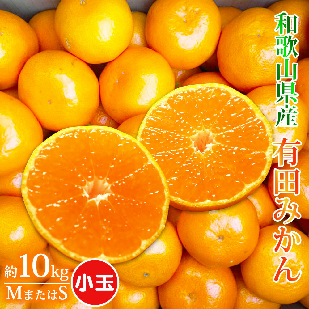【ふるさと納税】【小玉サイズ】有田みかん 約10kg ( Mサイズ または Sサイズ ) どちらかおまかせ ふるさと納税 みかんのサムネイル