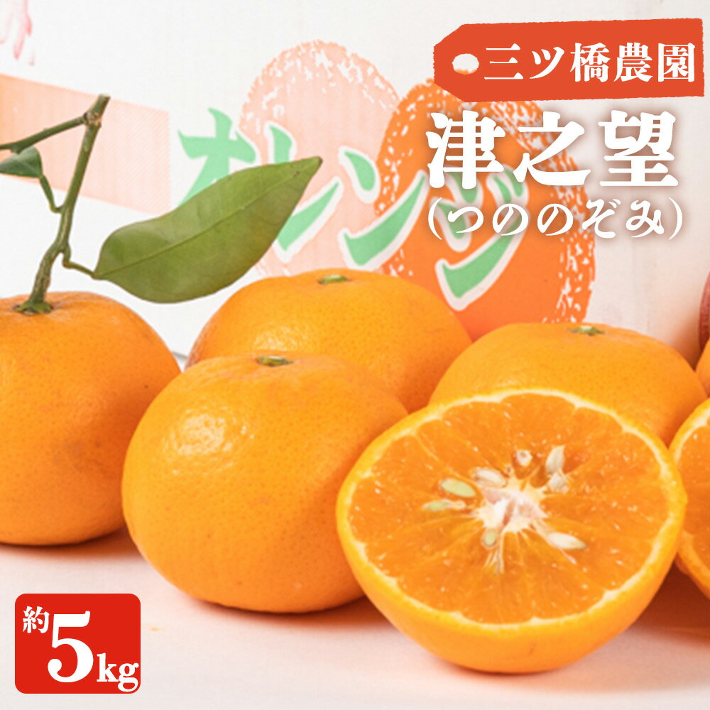 [限定][2026年先行予約] 津之望 (つののぞみ) 5kg