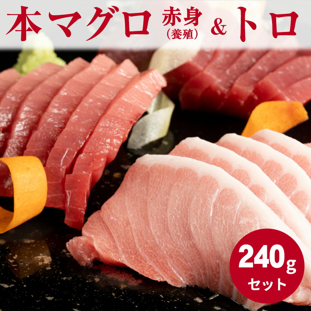 本マグロ (養殖) 赤身 & トロ セット 240g