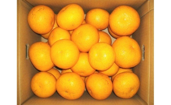 【ふるさと納税】和歌山由良町産 はっさく 約 10kg【はっさく ハッサク 八朔 和歌山産】のサムネイル