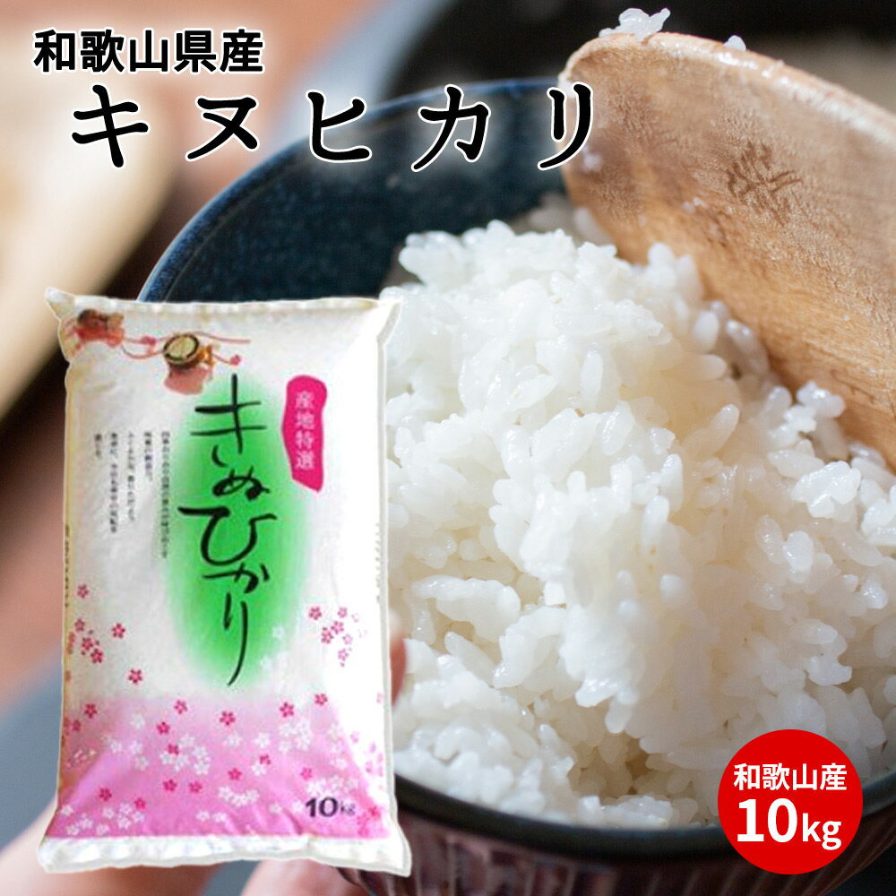 和歌山県産キヌヒカリ 10kg[きぬひかり 送料無料 白米 上白米 国産米 キヌヒカリ お米ギフト 米 精米]