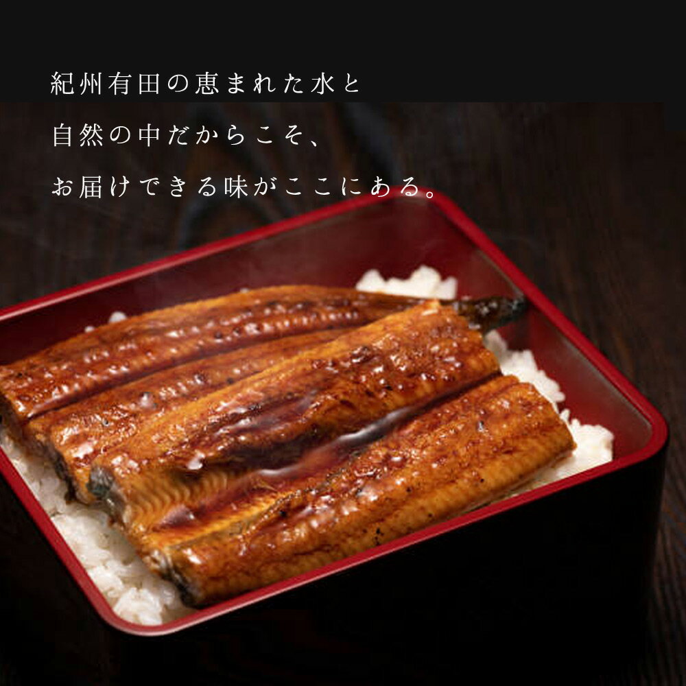 【ふるさと納税】うなぎ蒲焼 4尾 & 蒲焼タレ 2本 セット 国産 安全 ふっくら うなぎ 特製 タレ 土用 丑の日 こだわり 蒲焼き 贈答 贈り物 ギフト 急速冷凍 うな丼 うな重 う巻き ひつまぶし うなむすび 濃厚 冷凍 しいば水産 角長 お取り寄せ 和歌山県 湯浅町 送料無料