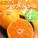 【ふるさと納税】【先行予約】ハウスみかん 4パック【ミカン 蜜柑 柑橘 温州みかん 有田みかん ハウスミカン 和歌山】 その1