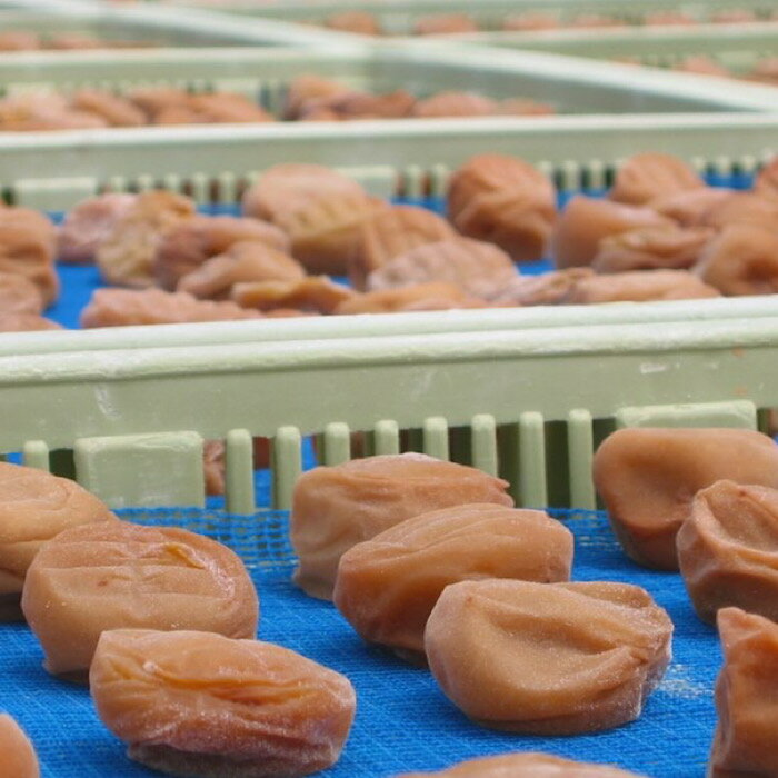 【ふるさと納税】【定期便】紀州南高梅 2種の風味 テトラピロー 個包装 12個入 ×12