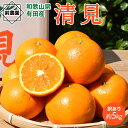 【ふるさと納税】【2026年先行予約】【限定】 家庭用 清見 約 5kg S~3L サイズ混合 訳あり ほどよい 酸味 甘味 マッチ 食べやすい 産地直送 国産 みかん 柑橘 果物 フルーツ 果実 食品 食べ物 デザート お取り寄せ お取り寄せフルーツ 有田地方 和歌山県 湯浅町 送料無料