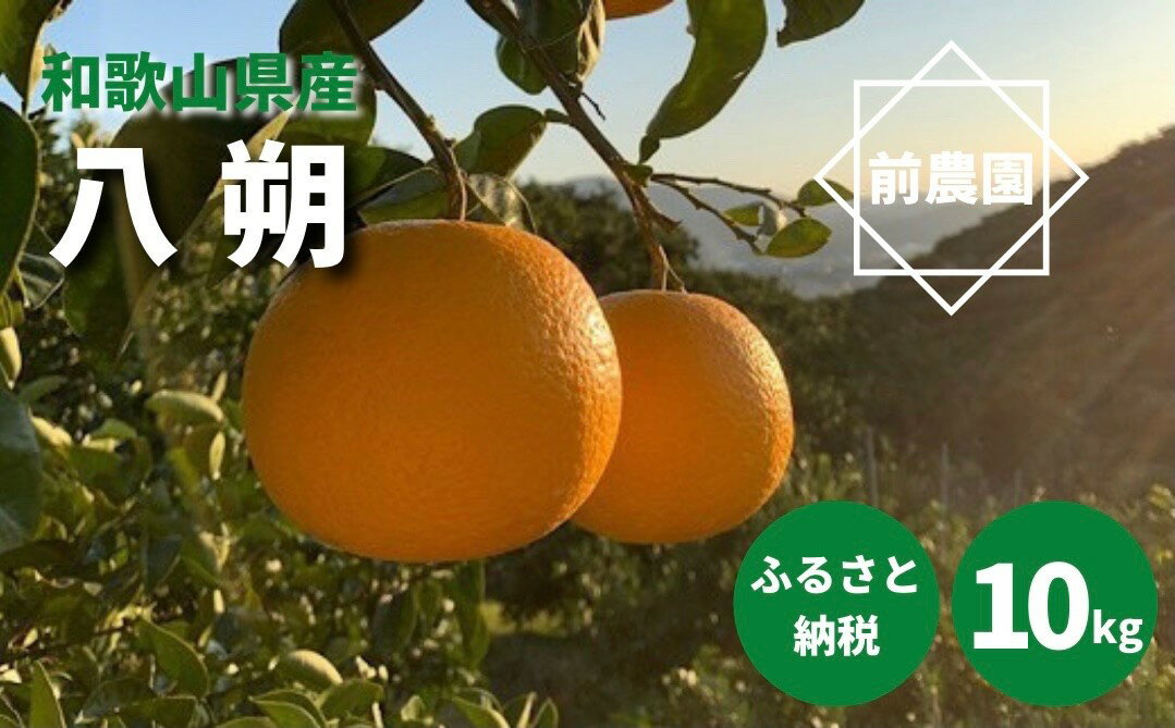 【ふるさと納税】【産地直送】和歌山県産 八朔 10kg (M