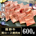 【ふるさと納税】湯浅熟成 熊野牛 肩ロース焼肉用 600g【氷温熟成 熟成肉 個別 冷凍 国産 送料無料】