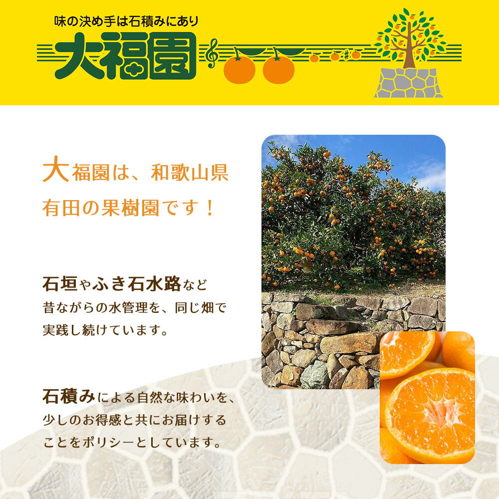 【ふるさと納税】和歌山県有田産 みかん 10kg×2箱 2L〜3Sサイズ（おまかせ） 【訳あり・家庭用】【みかん ミカン 蜜柑 柑橘 温州みかん 和歌山 有田みかん】