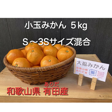 【ふるさと納税】和歌山県 有田産 小玉 みかん S〜3Sサイズ混合 5kg【ミカン 蜜柑 柑橘 温州みかん 有田みかん 和歌山】