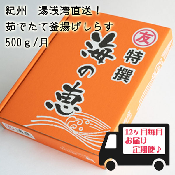 【ふるさと納税】紀州湯浅湾直送！海の恵　茹でたて釜揚げしらす (冷蔵) 【定期便】500g×12回