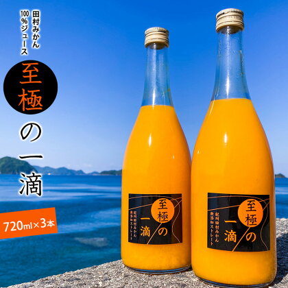 田村みかんジュース 至極の一滴 720ml×3本【和歌山 ミカンジュース ストレート 果汁100% 有田みかん 田村みかん 無添加】