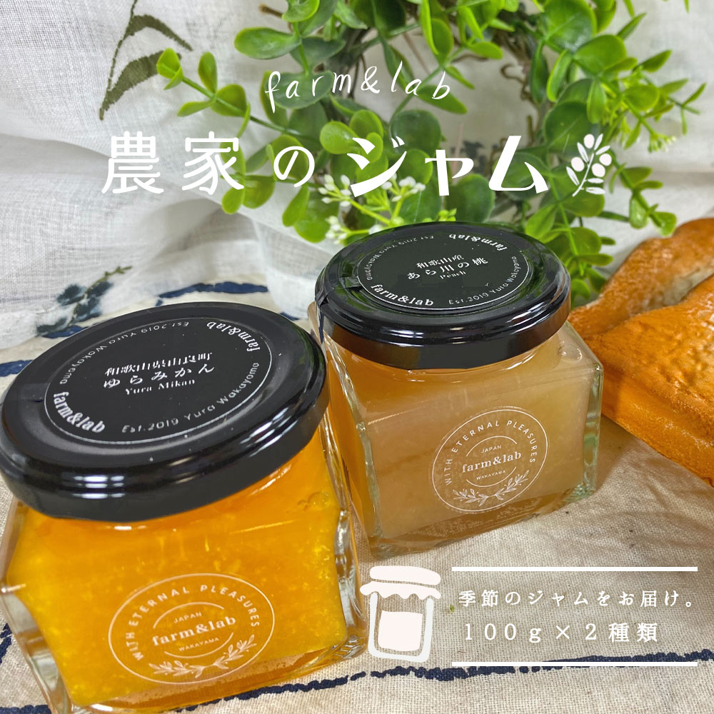 【ふるさと納税】和歌山産 果実のジャムセット （100g×2個）【ジャム 送料無料 ジャム食べ比べ ジャム詰め合わせ ジャム ギフト おしゃれ かわいい】