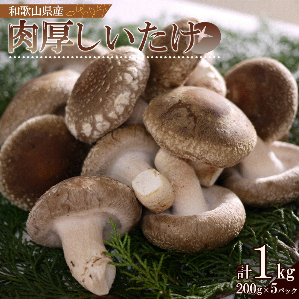 ڤդ뤵Ǽǡۺǹ  ή 1kg (200g5ѥå)ڤ     ²λ