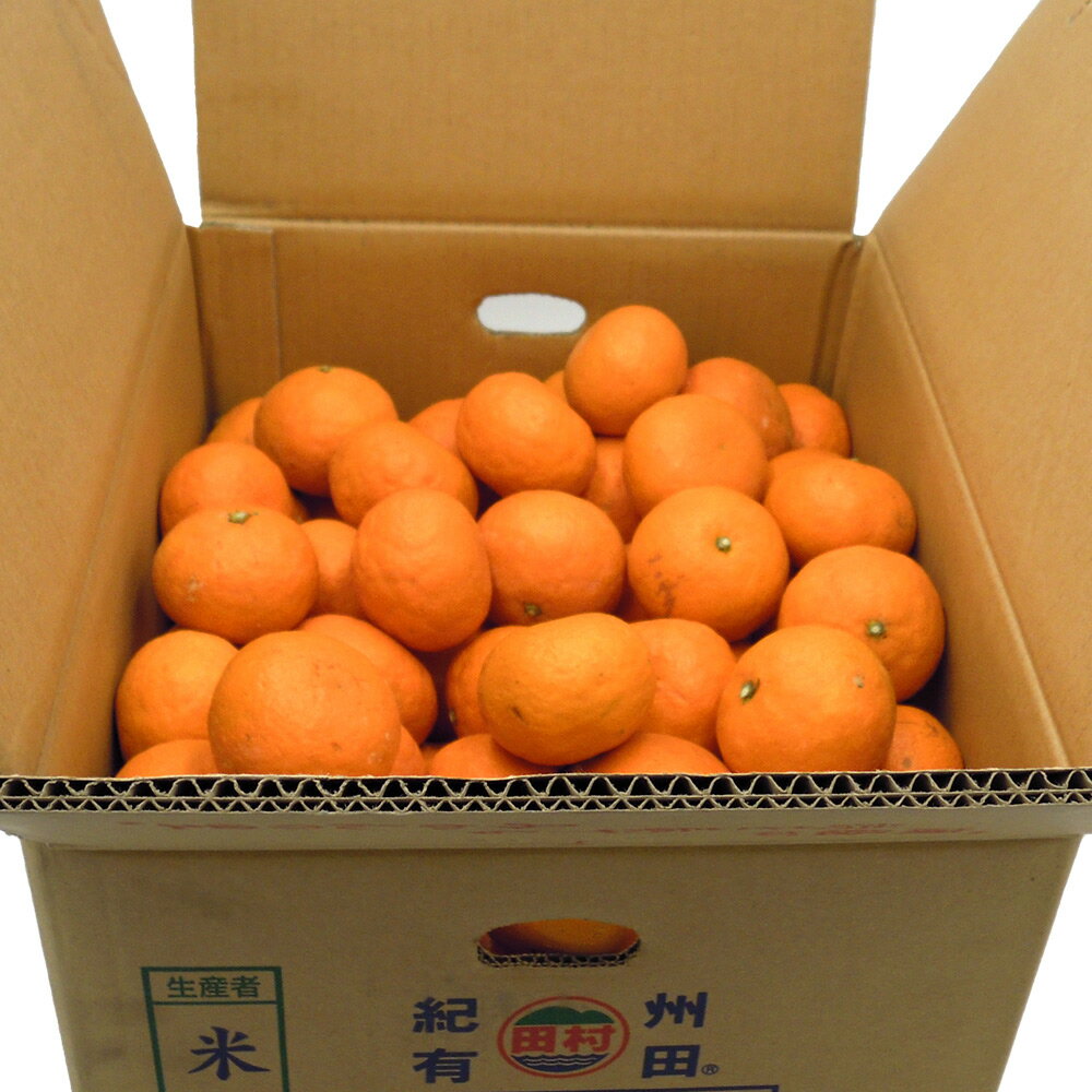 【ふるさと納税】【2025年 先行予約】 高級ブランド 田村みかん 秀品 10kg (S～Lサイズおまかせ） 【ミカン 蜜柑 柑橘 温州みかん 有田みかん】