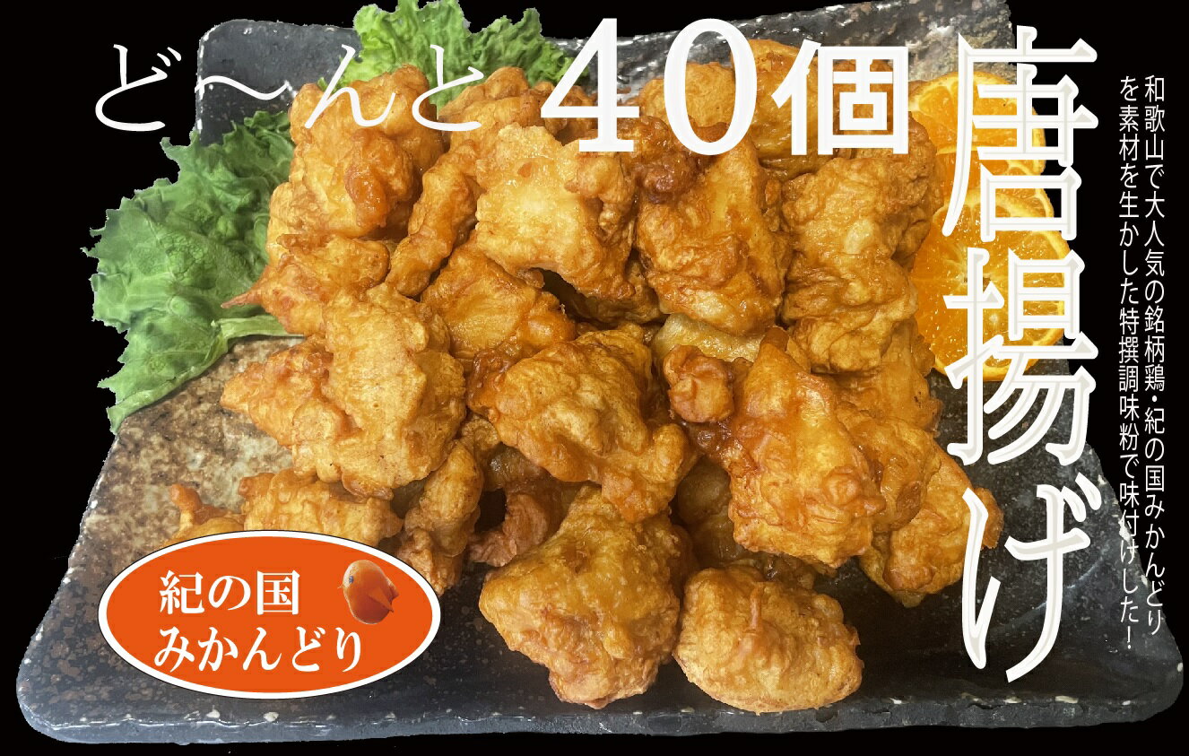 【ふるさと納税】紀の国みかんどり 特選 唐揚げ【からあげ 鶏から 冷蔵 チルド 惣菜 弁当 おかず】