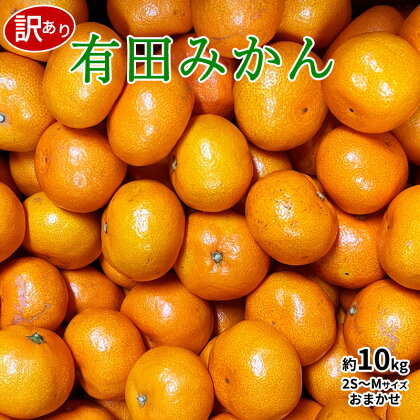 【先行予約】【訳あり】和歌山有田産 ご家庭用 みかん 約10kg 2S～Mサイズおまかせ【ミカン 蜜柑 柑橘 温州みかん 和歌山 有田】