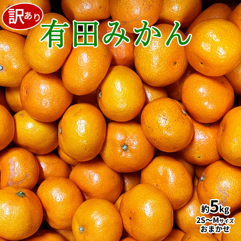 有田は山・海・川がある自然豊かな場所です。 水捌けの良い地形や海から近くミネラルを含んだ土壌、また、みかん作りに適した気候もあり恵まれた環境です。 そんな場所で育ったみかんは 酸味と甘味のバランスがよくとってもジューシー。 ご家庭用となりますので傷・黒点・日焼け等付いたみかんなど入りますが、 味は普通のものと変わりありません。是非ご賞味ください。 農家より直接仕入れしたみかんをお届けします。 ご家庭用約5kg×1箱です。2Sサイズ、Sサイズ、Mサイズいずれかおまかせとなります。 原産地 和歌山県 内容量 約5kg 2S〜Mサイズおまかせ 賞味期限 約1週間 保存方法 到着後は箱から出し、風通しの良い場所で保存してください。気温が高い場合は冷蔵庫で保存してください。そのままですと腐敗の原因となりますのでご注意ください。 発送時期 2024年10月下旬〜2025年1月下旬頃より順次発送予定 提供元 株式会社MSG 注意事項 ※画像はイメージです。 ※到着希望日（時期）・ご不在日等のご指定は、お受けすることができません。 ※ご家庭用みかんとなりますので不揃いのものや傷・黒点・日焼け・シミ等付いたみかんなど入ります事をご了承ください。味は普通のものと変わりません。 ※選別はセンサー類を使用しておりません。 ※サイズはお選びできません。 2Sサイズ、Sサイズ、Mサイズいずれかおまかせになります。 ※その都度収穫されたみかんを発送しているため、みかんの収穫される時期により色味や味の違いなどございます。 ※天候により収穫量が減ったり収穫時期が変わったりすると、発送が遅れる場合があります。 ※生もの(農産物)ですので、新鮮なうちにできるだけお早めにお召し上がりください。 ・ふるさと納税よくある質問はこちら ・寄附申込みのキャンセル、返礼品の変更・返品はできません。あらかじめご了承ください。【訳あり】和歌山有田産 ご家庭用 みかん 約5kg 2S〜Mサイズおまかせ 【注文内容確認画面の「注文者情報」を寄附者の住民票情報とみなします】 ・必ず氏名・住所が住民票情報と一致するかご確認ください。 ・受領書は住民票の住所に送られます。 ・返礼品を住民票と異なる住所に送付したい場合、注文内容確認画面の「送付先」に返礼品の送付先をご入力ください。寄附者の都合で返礼品が届けられなかった場合、返礼品等の再送はいたしません。 ※「注文者情報」は楽天会員登録情報が表示されますが、正確に反映されているかご自身でご確認ください。