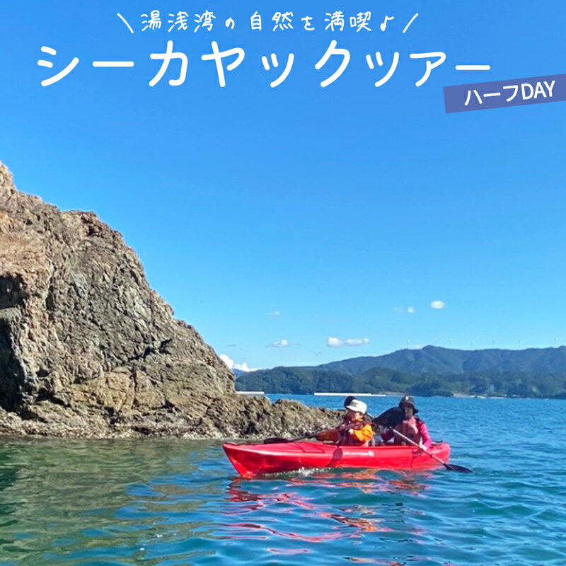 【ふるさと納税】湯浅湾 シーカヤックツアー ハーフデイツーリング ★関西No1フィールドをベテランガイドがご案内。【半日 カヤック マリンスポーツ アウトドア 体験 自然体験 海遊び】