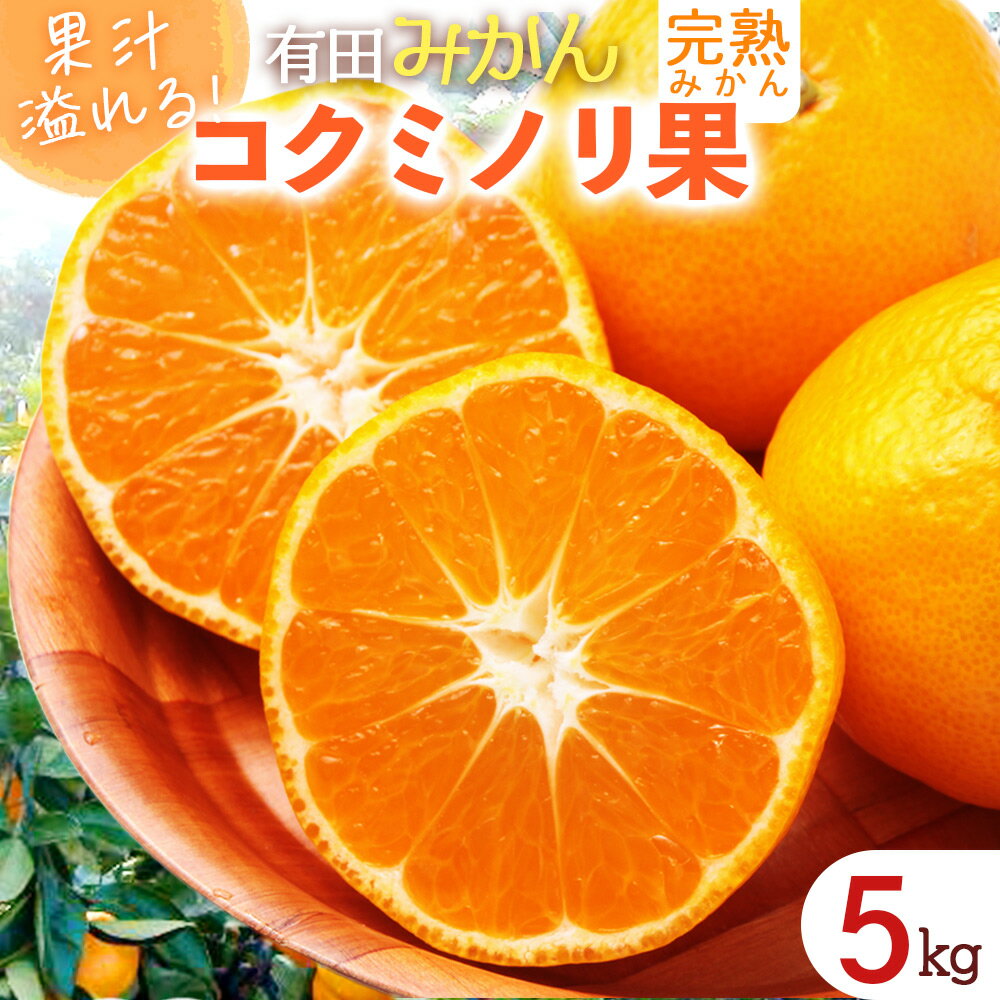 【ふるさと納税】果汁溢れる 完熟 有田みかん 「コクミノリ果」5kg L～2Sのおまかせ【ミカン 蜜柑 柑橘 温州みかん 有田みかん 和歌山】のサムネイル