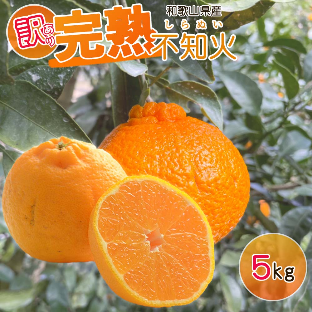 Rakuten - 【ふるさと納税】【2027年先行予約】【訳あり・ご家庭用】 和歌山県産 完熟 不知火 5kg 甘酸っぱい味わいと芳醇な風味がたまらない高級柑橘!
