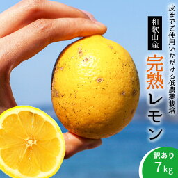 【ふるさと納税】【訳あり・ご家庭用】完熟 レモン 7kg 皮までご使用いただける低農薬栽培!【国産 レモン 柑橘 フルーツ 和歌山】