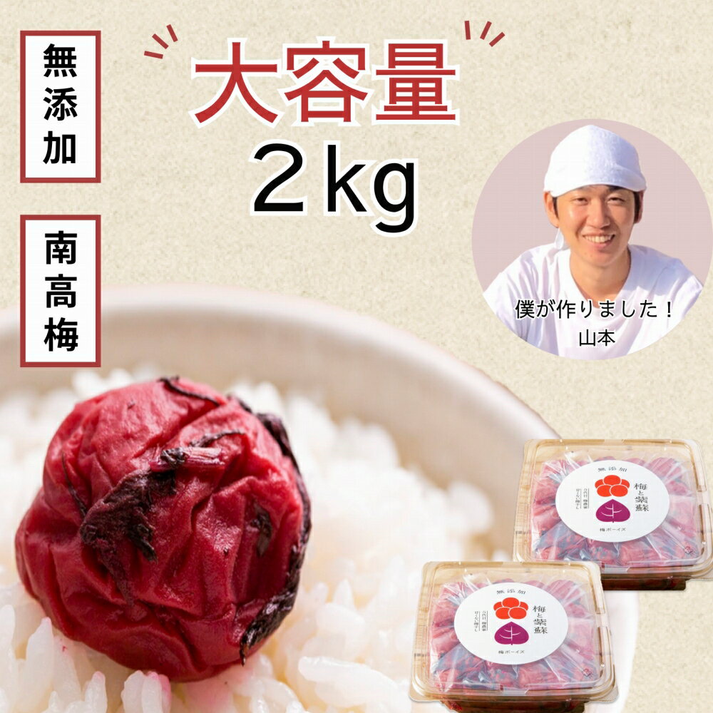 【ふるさと納税】【大容量・常温保管可能 】天日塩と紫蘇だけで漬けた無添加梅干し2kg 梅ボーイズ｜南高梅 B202【梅干 うめぼし 南高梅 紫蘇 和歌山 無添加】のサムネイル