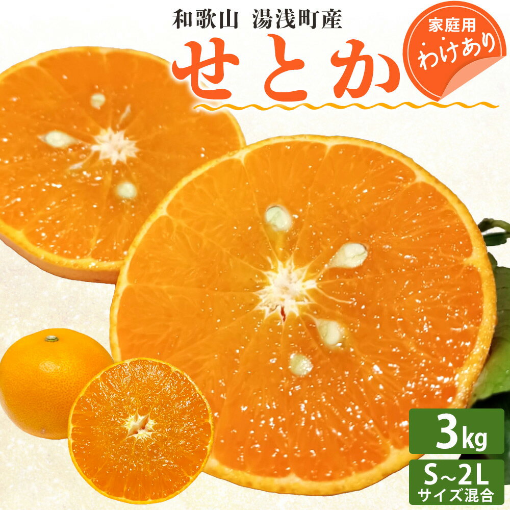 [訳あり 家庭用][2026年先行予約]和歌山 湯浅町産 せとか 3kg(S〜2Lサイズ混合)[2026年2月下旬発送]