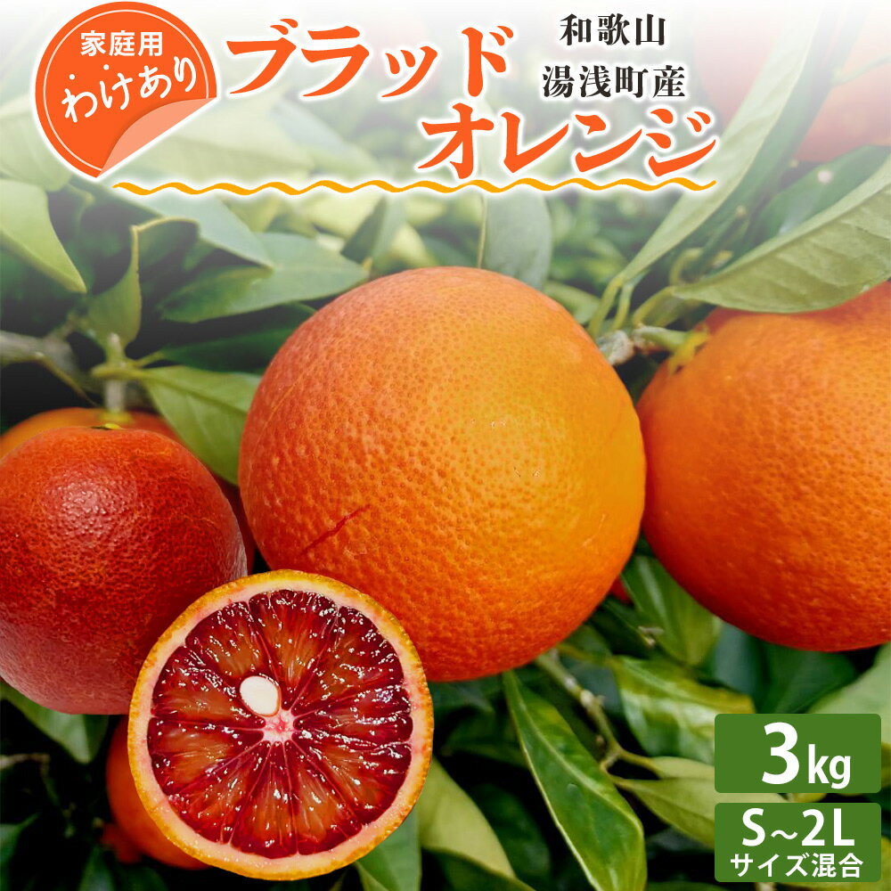 [訳あり 家庭用]和歌山 湯浅町産 ブラッドオレンジ 3kg(S〜2Lサイズ混合)[2025年4月発送]