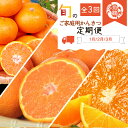 【ふるさと納税】【限定】【定期便 全3回】紀州和歌山産旬のご家庭用柑橘セット(みかん・不知火・清見)
