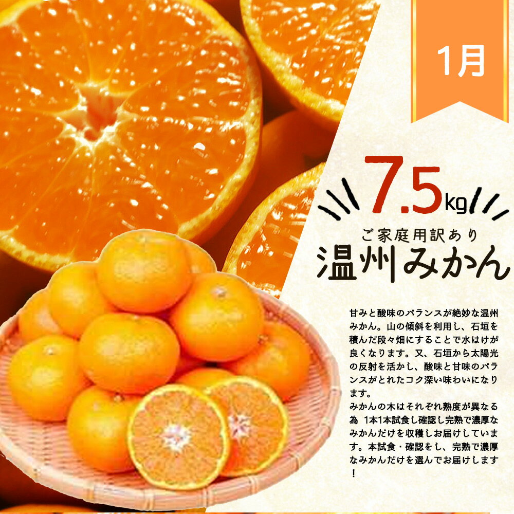 【送料無料】井桁堂　和フィナンシェ　9個入　WF1500　WF1500【ギフト館】