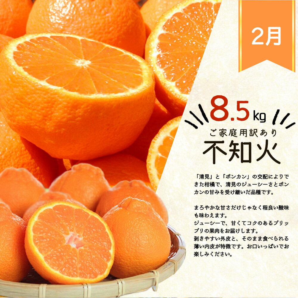 【送料無料】井桁堂　和フィナンシェ　9個入　WF1500　WF1500【ギフト館】