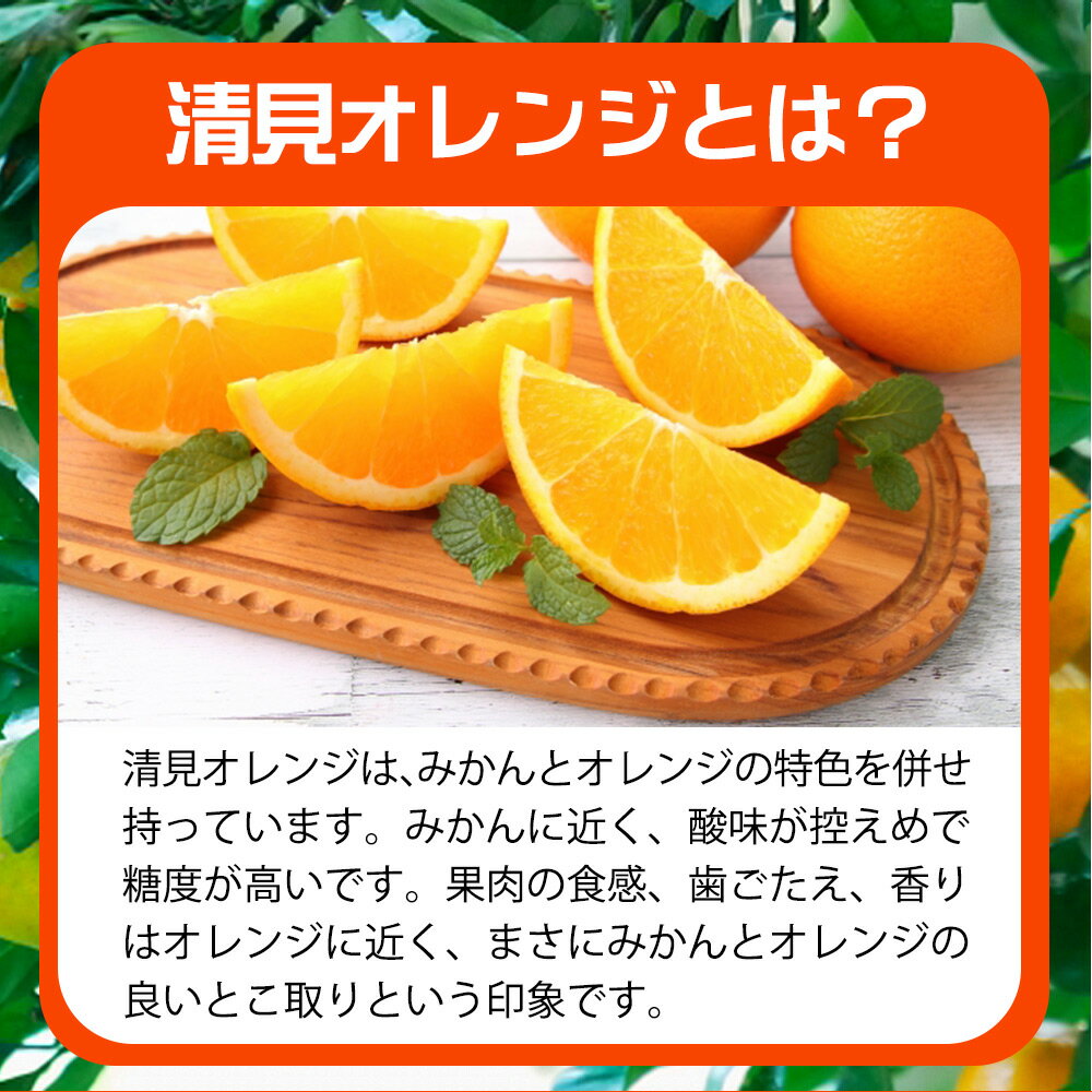 【ふるさと納税】とにかくジューシー 清見 オレンジ 5kg【清見 みかん タンゴール きよみ】