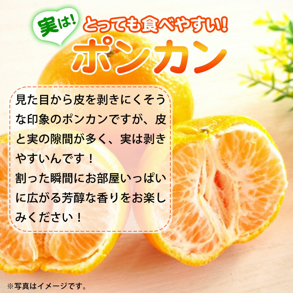 【ふるさと納税】【限定】 紀州和歌山有田産 ポンカン 5kg【ミカン 蜜柑 春みかん 柑橘 和歌山 有田 ぽんかん】