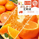 【ふるさと納税】【定期便 全3回】紀州和歌山産旬の柑橘セット(みかん・紀州デコ・清見)