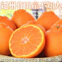 【ふるさと納税】【2026年先行予約】【限定】 紀州有田産 不知火 (しらぬひ) 2.5kg【でこぽん デコポン しらぬい 不知火 柑橘】(4)