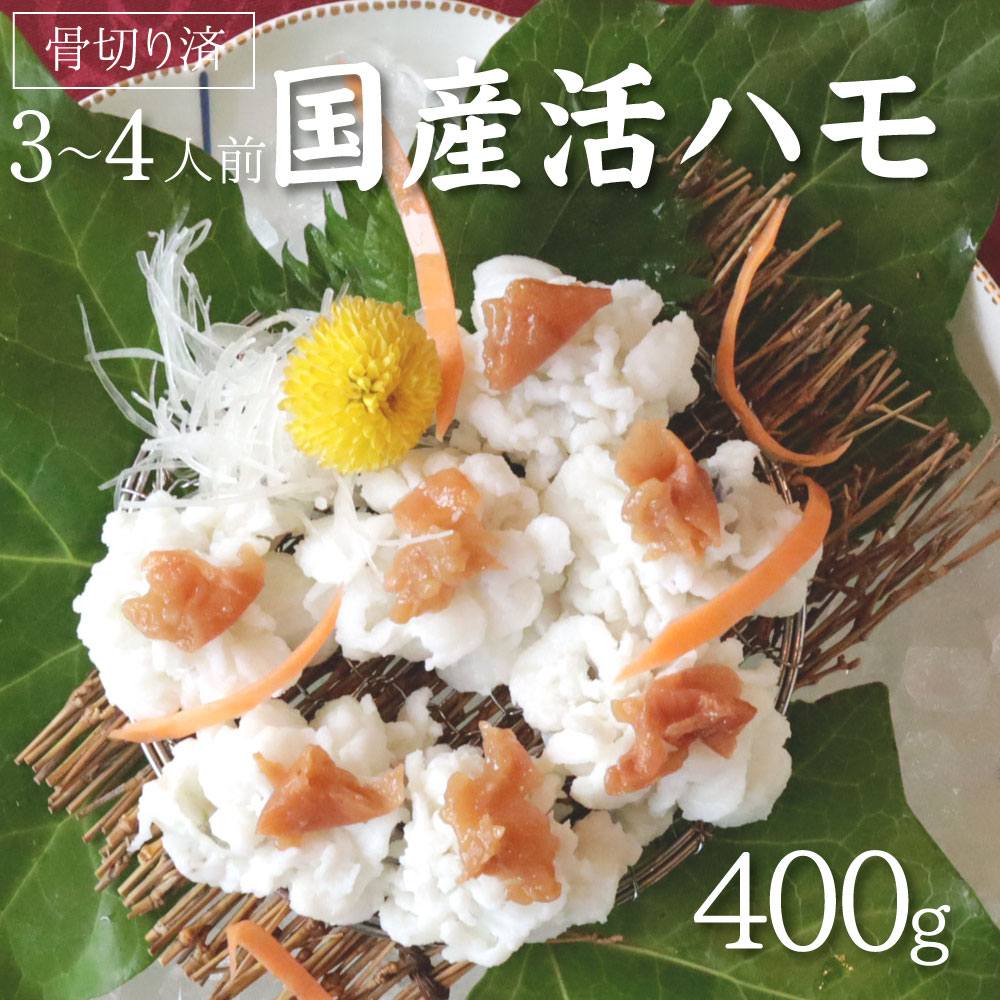 【ふるさと納税】国産 活はも (骨切り済) 400g ( 3人前 ～ 4人前 )【天然 はも ハモ 鱧 鮮魚 皮付き 湯引き はもしゃぶ】のサムネイル
