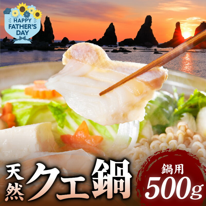 [父の日までにお届け!]天然 クエ鍋 500g(くえ鍋セット)[くえ クエ 九絵 鍋用 鮮魚]