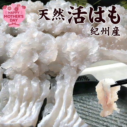 【母の日までにお届け！】天然はも【400g】（骨切り済）【天然 はも ハモ 鱧 鮮魚 皮付き 湯引き はもしゃぶ】