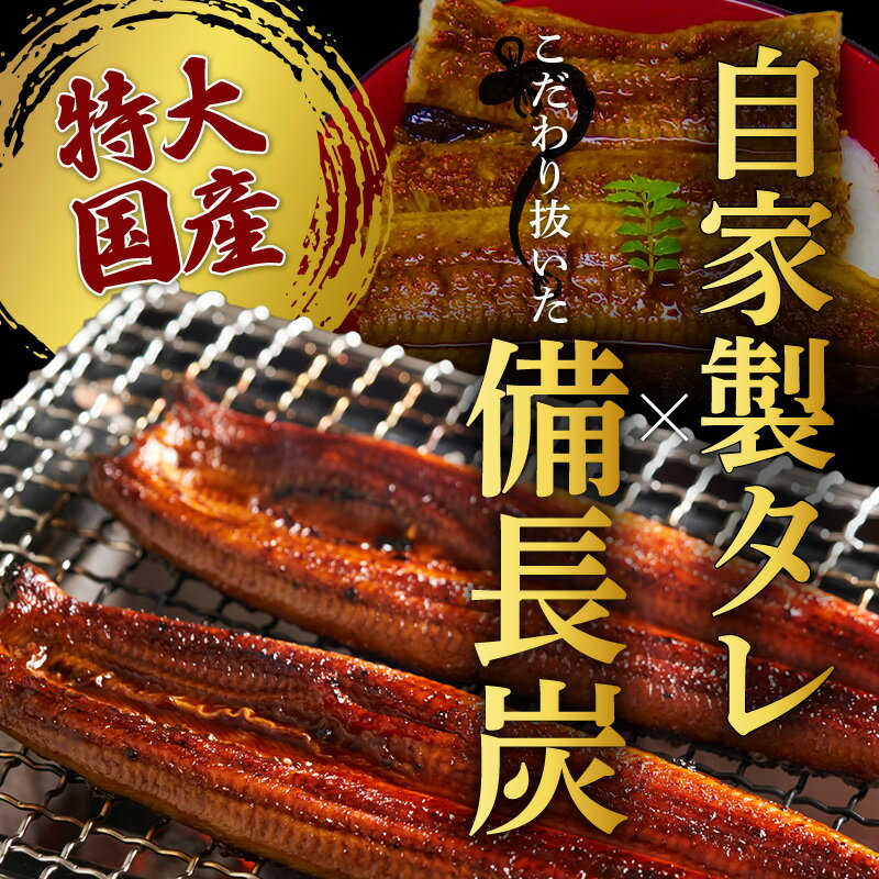 【ふるさと納税】紀州備長炭焼き 特大 うなぎ 蒲焼き(国産) 200g×2尾【鰻 ウナギ 丑の日 土用 蒲焼き 関西風 冷凍】