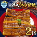 【ふるさと納税】紀州備長炭焼き 特大 うなぎ 蒲焼き(国産) 200g×2尾【鰻 ウナギ 丑の日 土用 蒲焼き 関西風 冷凍】