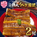 【ふるさと納税】紀州備長炭焼き 特大 うなぎ 蒲焼き(国産) 200g×2尾【鰻 ウナギ 丑の日 土用 蒲焼き 関西風 冷凍】 1