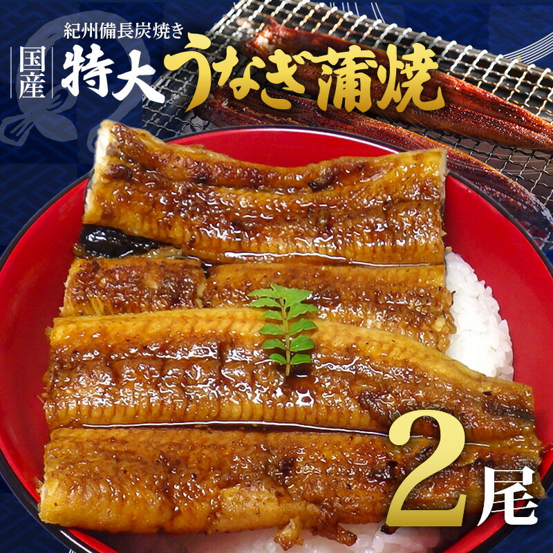 紀州備長炭焼き 特大 うなぎ 蒲焼き(国産)【鰻 ウナギ 丑の日 土用 蒲焼き 関西風 冷凍】