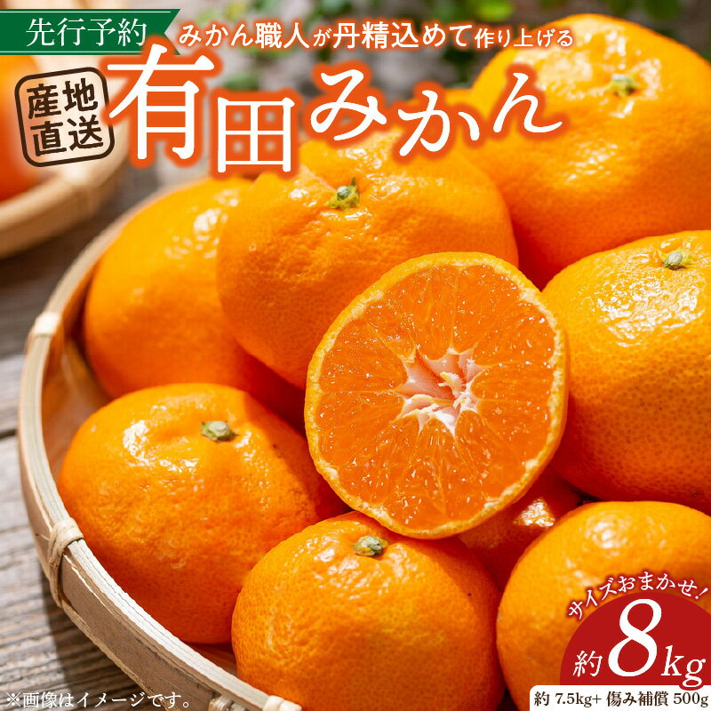 14位! 口コミ数「139件」評価「4.35」【2024年 先行予約】有田みかん約7.5kg(+傷み補填分500g)=合計8kg【サイズおまかせ】／産地直送／紀伊国屋文左衛門本舗（お届け･･･ 