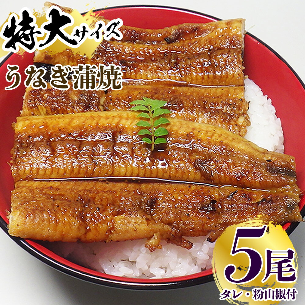 【ふるさと納税】炭焼き うなぎ 蒲焼 特大サイズ 5尾 セッ