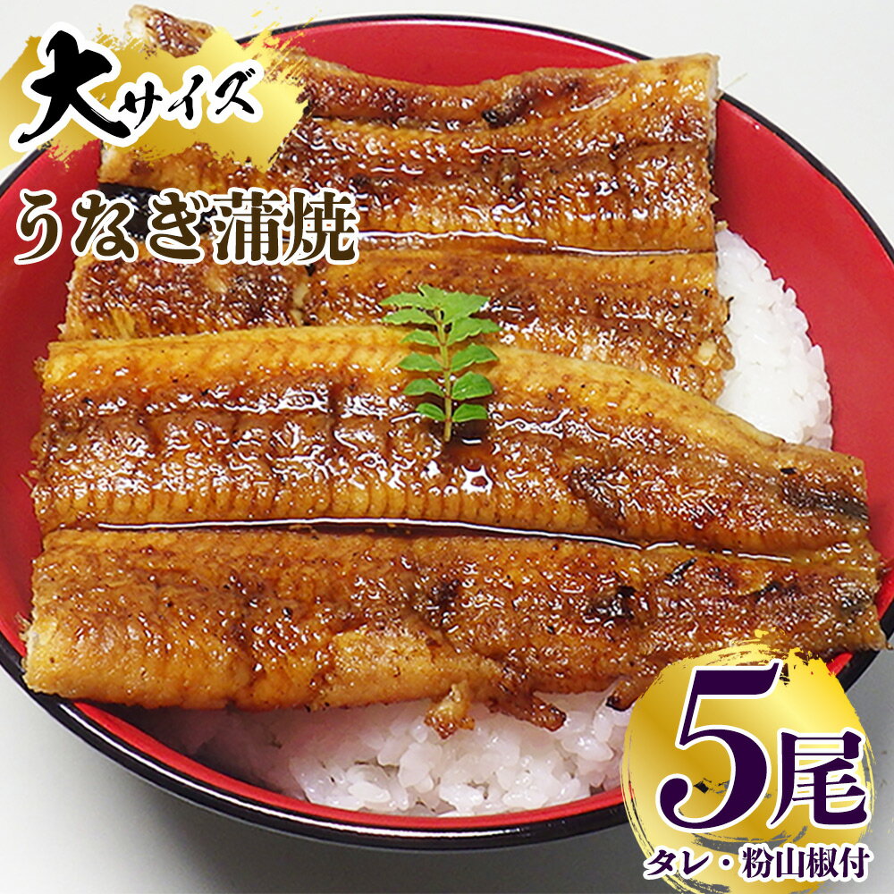 炭焼き うなぎ 蒲焼 大サイズ 5尾 セット(約150〜199g×5尾)タレ・粉山椒付き 国産鰻 冷凍ウナギ 1尾ずつ真空パック 土用の丑の日 紀伊国屋文左衛門本舗