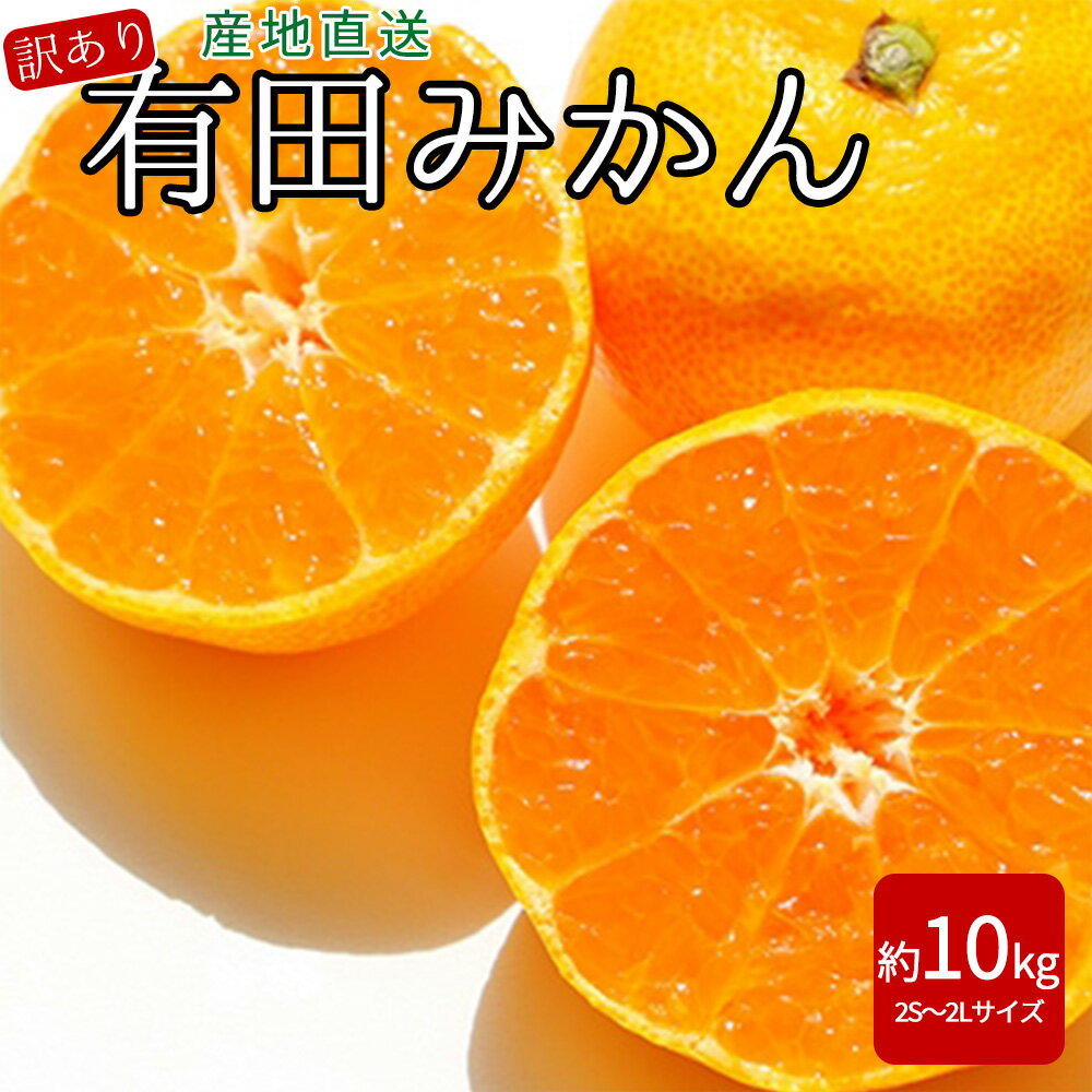 【ふるさと納税】【先行予約】【産地直送】有田みかん 訳あり 家庭用 約10kg（2S〜2Lサイズ）【紀州グルメ市場】【ミカン 蜜柑 温州みかん】