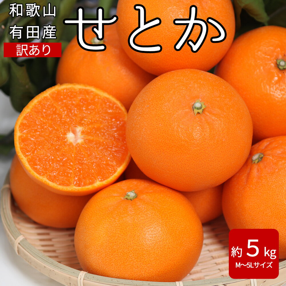 【ふるさと納税】【2025年先行受付】産地厳選 せとか 家庭用 約5kg(M～5Lサイズ)【紀州グルメ市場】【ミカン 蜜柑 春みかん 柑橘】