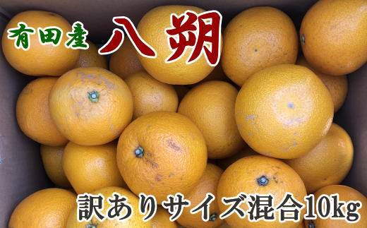 【ふるさと納税】【先行予約】【手選果 ・ 訳あり 】有田産の 八朔 10kg（サイズ混合）